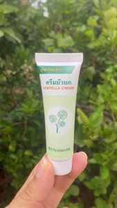 ครีมบัวบก15กรัม ใช้ทาสมานแผล แผลฟกช้ำ