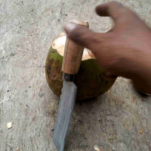 Pisau cincang daging baja asli tajam siap pakai