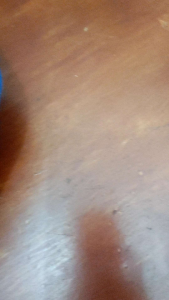 Tas Punggung pria olahraga ransel futsal casual multiguna Gress backpack