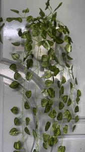 Daun Artificial untuk Dekorasi Rumah, Cafe, dan Resto