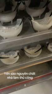 100g tổ yến vụn tinh chế sạch-yến sào nha trang