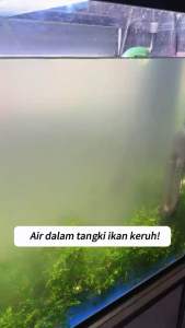 Qian Yu Filter Cube Aquarium Water Purifier Magic Cube ACTIVE CARBON AQUARIUM WATER PURIFIER CUBE