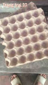 100 Vỉ giấy đựng trứng gà khay trứng giấy-Hàng Mới Cứng (Hàng VN) dùng đựng trứng trang trí trồng cây tô màu nuôi dế gián côn trùng..