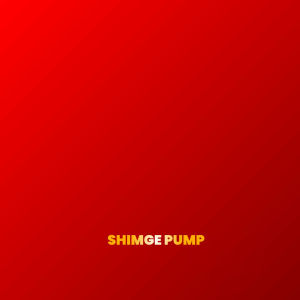 Shimge Water Pump Jet Pump / Shallow Pump available in 0.75hp or 1hp INDUSTRIAL COPPER MOTOR