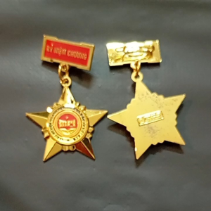 Kỷ niệm chương Vì sự nghiệp dân số kế hoạch đầu tư việt Nam