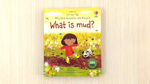 Usborne Lift-the-Flap Very First Questions and Answers What is mud?
