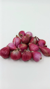 BAWANG MERAH BREBES SUPER: BUMBU DAPUR & SAYURAN BERKUALITAS