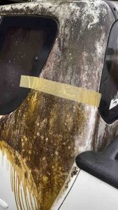 CPW รีเพรส น้ำยาระเบิดขี้ไคล คลีนพาวเวอร์