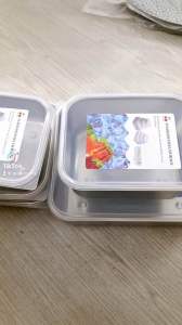 Hộp noHộp nox Có Nắp Nhựa đựng Thực Phẩm JAPAN (Nhật Bản) - Hộp Inox Có Nắp sâu _ cạn đủ sizex Có Nắp Nhựa đựng Thực Phẩm JAPAN (Nhật Bản) - Hộp Inox Có Nắp sâu _ cạn đủ size