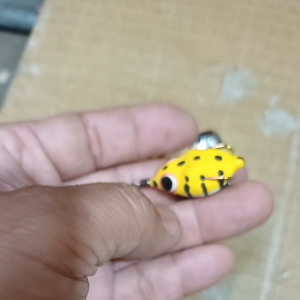 nhái hơi 3cm mini trai nhà nghèo Fishing lure 🇻🇳