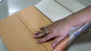 อาหารปลา คิงฟิช King Fish Micro Pellet ซองแดง & Mini Tropical Fish ซองน้ำเงิน ขนาด 60 g