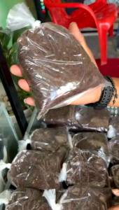 Umpan Gacor Brownies Basi 400gr Buat Mancing Galatama Lele Siap Segala Kondisi