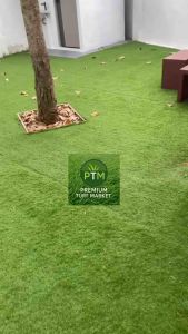 ร้านใหม่ หญ้าเทียม หญ้าปูสนาม หญ้าปูตกแต่ง ปูจัดงานอีเวนต์ หญ้าเทียมยกม้วน