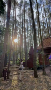 CELANA PANJANG FORMAL KASUAL KERJA KANTOR BAGGY PANT CELANA WANITA PREMIUM AMERICAN DRILL GRATE A