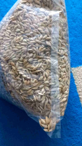 200 Gram Benih Padi Huma Khusus Darat Original Beras Merah