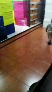 Gabus Styrofoam Uk 40cm x 60cm Tebal 1.5cm Per 10 Pcs