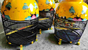 SANGKAR BURUNG PERKUTUT MOTIF ALAM TERBAIK - KANDANG TERBARU WARNA KUNING MURAH BERKUALITAS