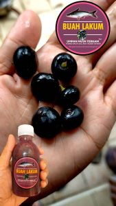 Umpan ikan patin Sos Buah Lakum 150ml