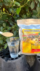 อมิโนโกลด์โปรพลัส500กรัม กรดอมิโน โปรตีนพืช