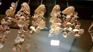LILY  Sea Shell Wind Chime