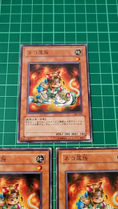 YUGIOH Japanese 303-027 EE1-JP136 貓耳族 Cats Ear Tribe (N) 90%x2 50%30%