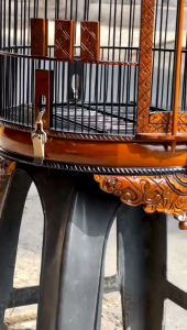 Tangkringan Sangkar Anis Merah & Desain Unik