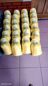 Topi Anak Motip Mata Kucing / Topi Baseball Terbaru / Kacamata Kucing