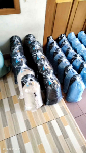 Topi Anak Bordir Boy / Baseball Terbaru