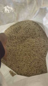 ข้าวกล้อง3กิโลกรัม((คัดพิเศษ ))ข้าวเพื่อสุขภาพสดใหม่หอมข้าวชาวนาปลูกเองขายเอง ส่งตรงจากต้นทางชาวนาสุรินทร์ เหมาะกับคนเป็นโรคเบาหวาน ความดันโลหิตสูง ไร้สารเคมี ไม่ใส่สารกันมอด กันแมลง แพ็คสูญญากาศ