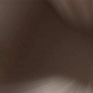 [chuchu] กิ๊ฟติดผมรูปดาวกำมะหยี่ขนปุกปุย น่ารักสไตล์คุณหนู เครื่องประดับผม สำหรับผู้หญิง พร้อมส่งในไทย