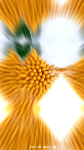 SNACK KILOAN KERUPUK BAKSO UDANG 250 GRAM | CEMILAN MURAH MAKASSAR