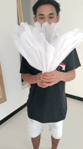 KELOPAK BUNGA/CUP BUNGA MODEL BUNGA KAMBOJA + FITINGAN TERMURAH TERLARIS BAHAN KAIN ORGANDI DIAMETER 50 CM