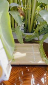 Cà phê Đông Trùng Hạ Thảo KINKA - Cafe hòa tan - Hôp 10 gói 180g