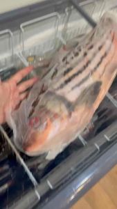 IPOH SEAFOOD - IKAN TEMOLEH / 国宝鲤,独目鲤 7kg FROM PAHANG ( PRE ORDER 7 days )