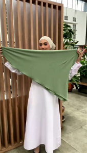 Hijab Bergo Alisa Non Pad Material Jersey