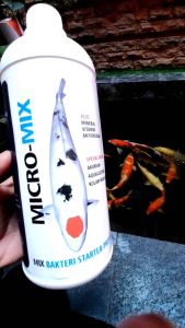 MICRO-MIX 1000 ML BAKTERI STARTER Untuk Koi Penjernih Air dan Pengurai Amonia Pada Akuarium Aquaculture Kolam Ikan Koi dan Ikan Hias Air Tawar