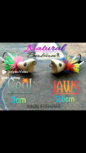 Jaws Mini 2.5cm & Geol Mini 3cm Natural Glossy Full Action