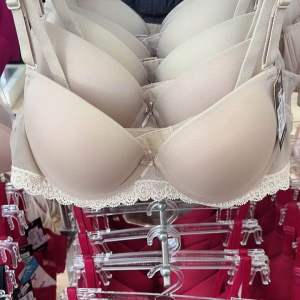 เสื้อในมีโครง เสริมฟอง