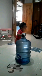 baby walker alat bantu belajar jalan bayi ( polos lengkap tutup )