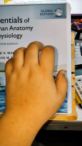 ESSENTIAL OF HUMAN ANATOMY AND PHYSIOLOGY 13TH EDITION - GLOBAL EDITION