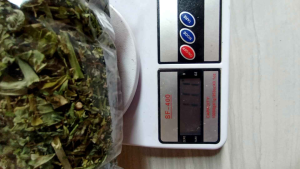 PROMO / Teh Daun Katemas Kering Daun Sena Kering Pembersih Usus (100 Gram) Kualitas Premium