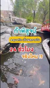 จุลินทรีย์น้ำใส บำบัดน้ำเสียสำหรับบ่อปลา ตู้ปลา อ่างปลาทุกชนิด