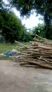 ถังเผาถ่านไร้ควัน เตาเผาไร้ครัว เสริมเหล็กก้นถัง (ถอดไส้ไม่ได้) ขนาด 200 ลิตร