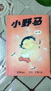 二手儿童小说「小野马」老师家长强力推荐特地适合小学三年级至初中一二学生阅读、