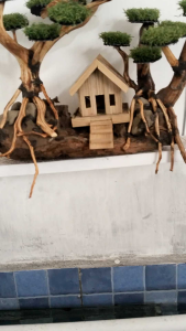 bonsai rumah miniatur hiasan akuarium dekorasi aquascaoe