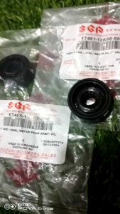 How to Choose & Install High-Quality Waterpump Seals for Raider 150 FI