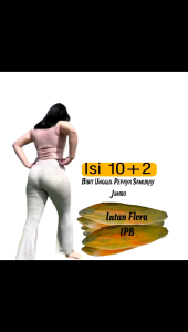 Bibit Pepaya Jumbo Samurai IPB (isi 10+2 & 5 +1 ) siap tanam original