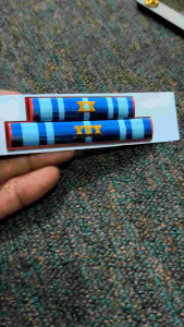 PITA JASA ASN SUSUN 2030 TAHUN - SATYALANCANA AAN 2030 TAHUN