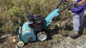 คลิกที่นี่เพื่อเลือกรถตัดหญ้าเดินตามใบวาย 16คู่ เครื่องยนต์ 8.5แรง 4จังหวะ หน้ากว้าง 50cm: