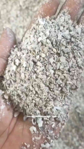 Super Grit Asinan Merpati Grit Cangkang Kerang Murni